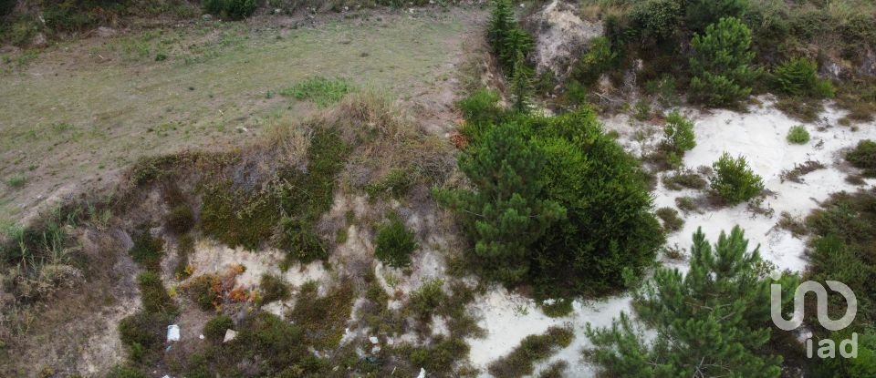 Terrain à Caldas da Rainha - Santo Onofre e Serra do Bouro de 4 000 m²