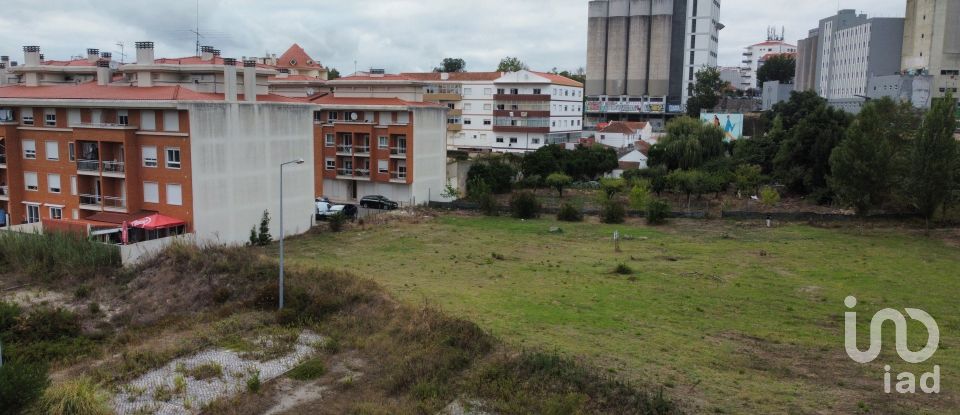 Terrain à Caldas da Rainha - Santo Onofre e Serra do Bouro de 4 000 m²