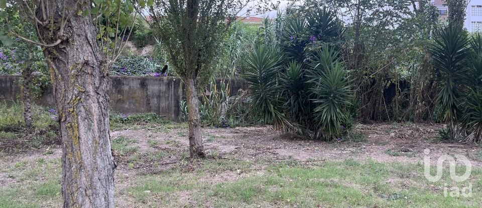 Terreno em Caldas da Rainha - Santo Onofre e Serra do Bouro de 4 000 m²