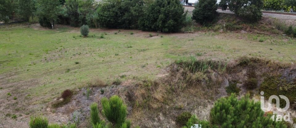 Terrain à Caldas da Rainha - Santo Onofre e Serra do Bouro de 4 000 m²