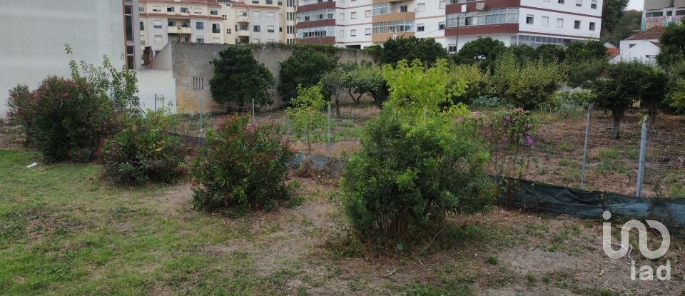 Terreno em Caldas da Rainha - Santo Onofre e Serra do Bouro de 4 000 m²