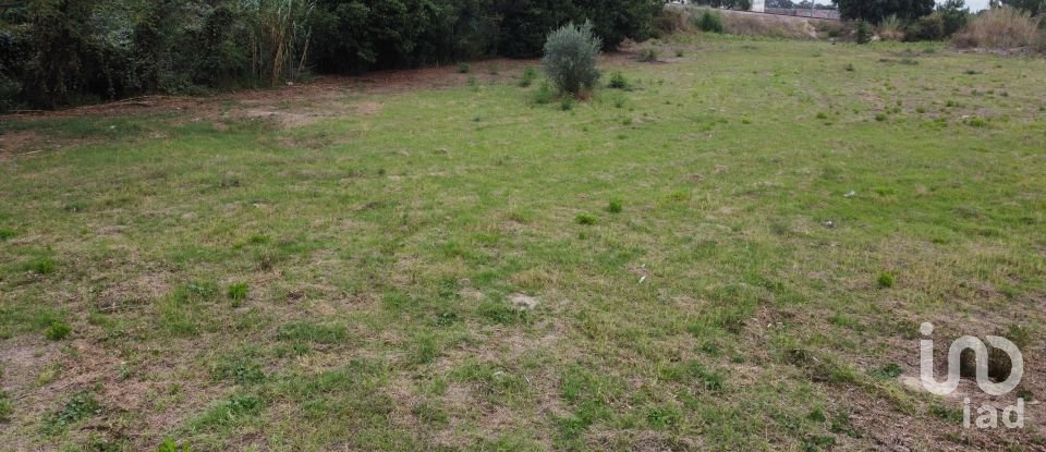 Terreno em Caldas da Rainha - Santo Onofre e Serra do Bouro de 4 000 m²