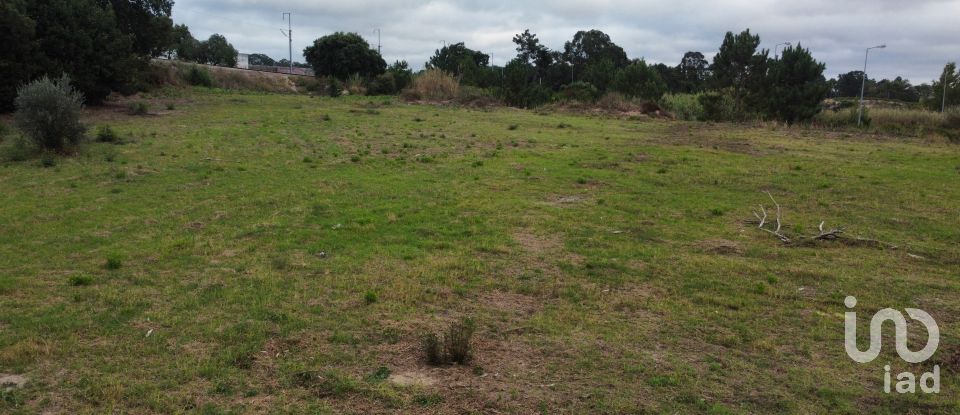 Terrain à Caldas da Rainha - Santo Onofre e Serra do Bouro de 4 000 m²