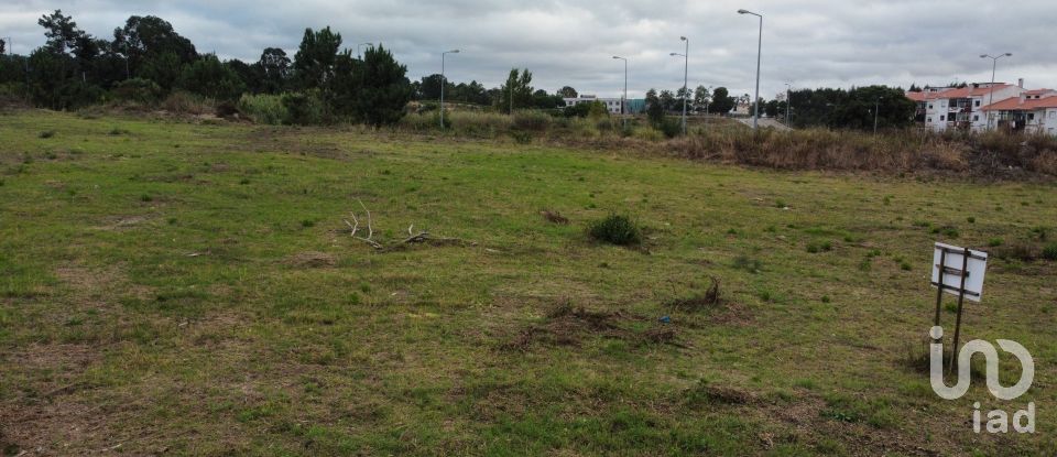 Terreno em Caldas da Rainha - Santo Onofre e Serra do Bouro de 4 000 m²