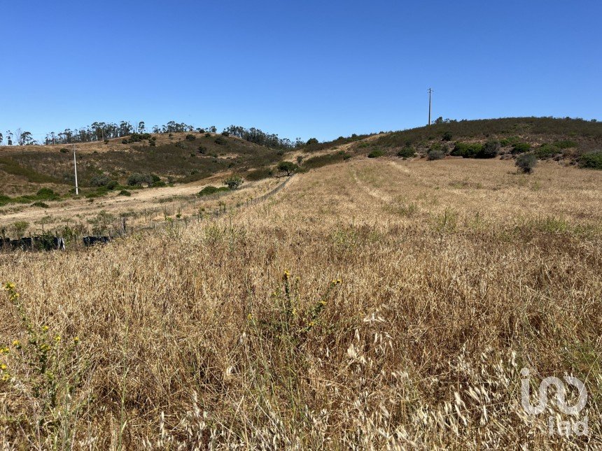 Terrain à Barão de São Miguel de 5 880 m²