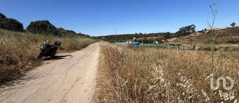 Terrain à Barão de São Miguel de 5 880 m²