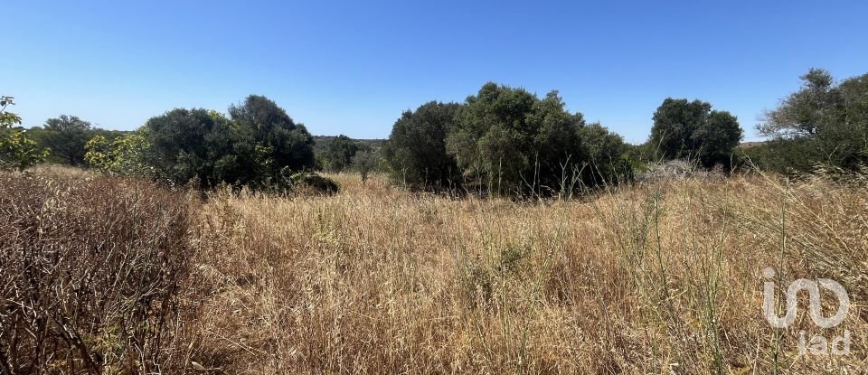 Land in Barão de São Miguel of 5,880 m²