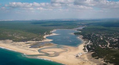 Terrain à bâtir à Sesimbra (Castelo) de 2 500 m²