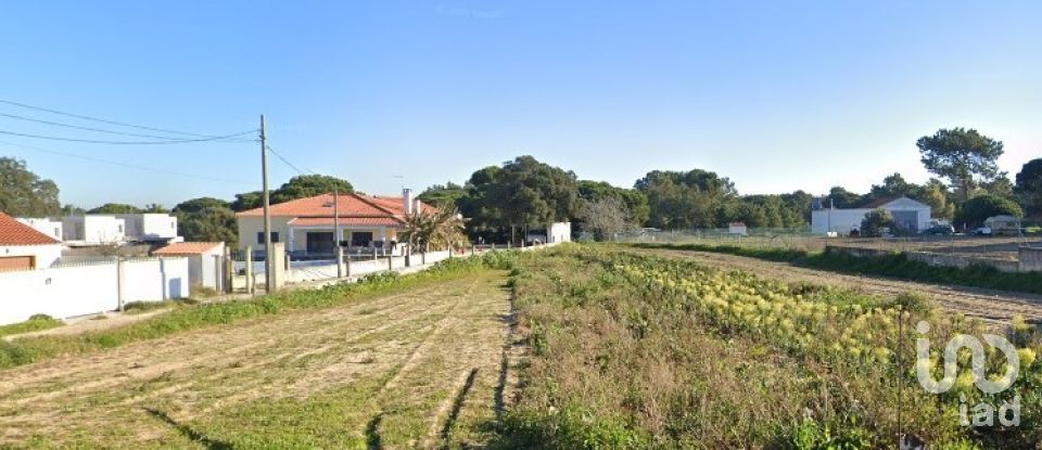 Terreno para construção em Sesimbra (Castelo) de 2 500 m²