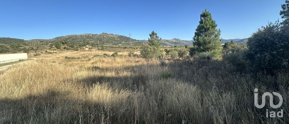 Terrain à Sobral da Serra de 43 220 m²