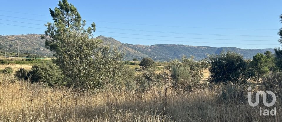 Terrain à Sobral da Serra de 43 220 m²