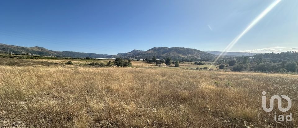 Terrain à Sobral da Serra de 43 220 m²