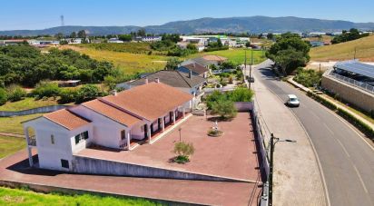 Casa tradicional T4 em Cadaval e Pêro Moniz de 640 m²