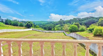 Traditional house T4 in Cadaval e Pêro Moniz of 640 m²