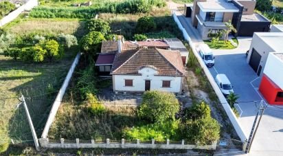 Cottage T3 in Ramalhal of 210 m²