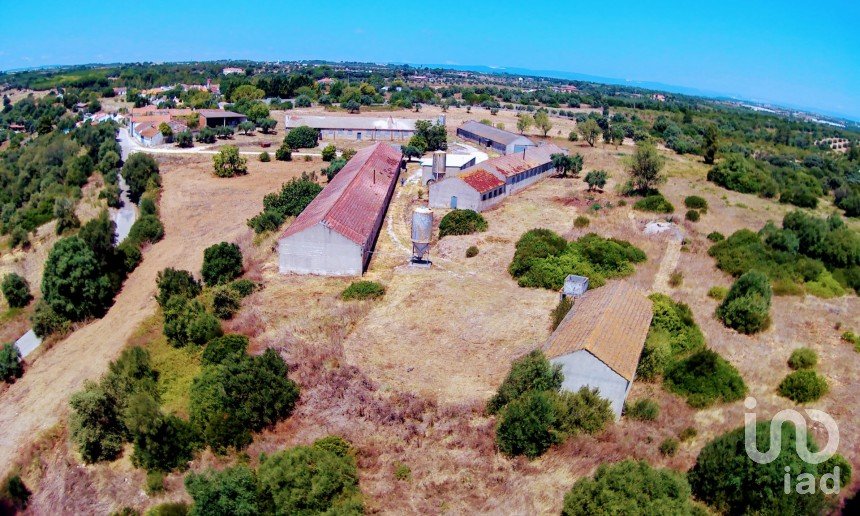 Farm T3 in Almoster of 2,364 m²