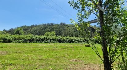 Terreno em Carvoeira de 2 500 m²