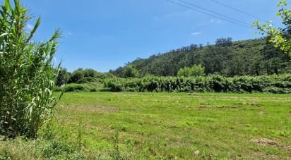 Terreno em Carvoeira de 2 500 m²