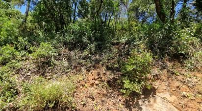 Land in Carvoeira of 2,500 m²