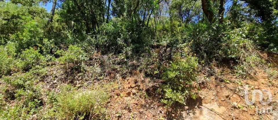 Land in Carvoeira of 2,500 m²