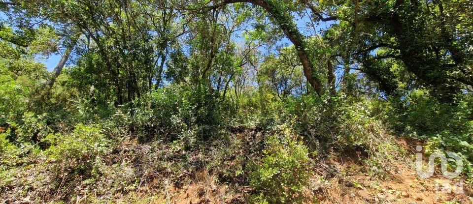 Land in Carvoeira of 2,500 m²