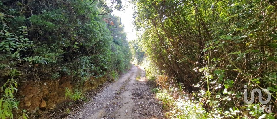 Terrain à Carvoeira de 2 500 m²