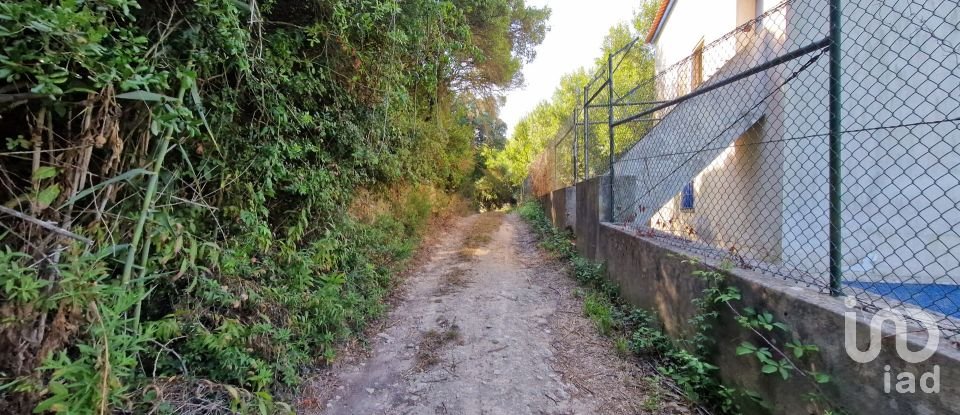 Land in Carvoeira of 2,500 m²