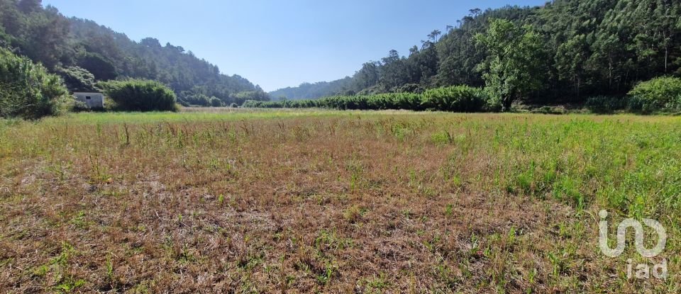 Terreno em Carvoeira de 2 500 m²