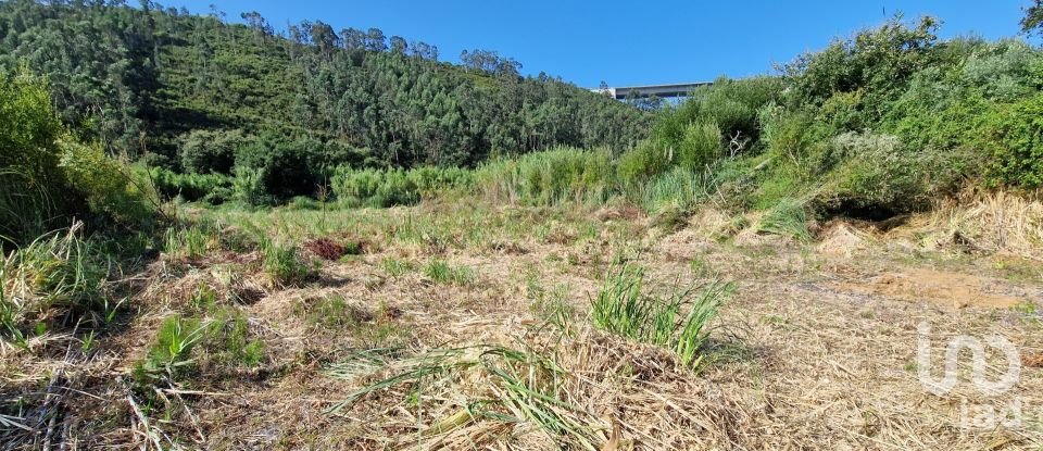 Terreno em Carvoeira de 2 500 m²