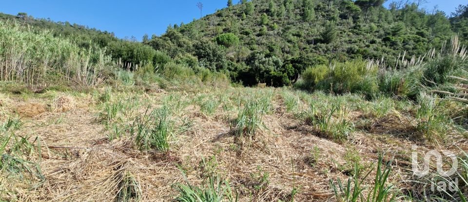 Terreno em Carvoeira de 2 500 m²