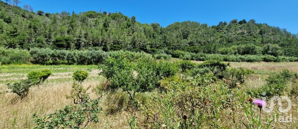 Terrain à Carvoeira de 2 500 m²