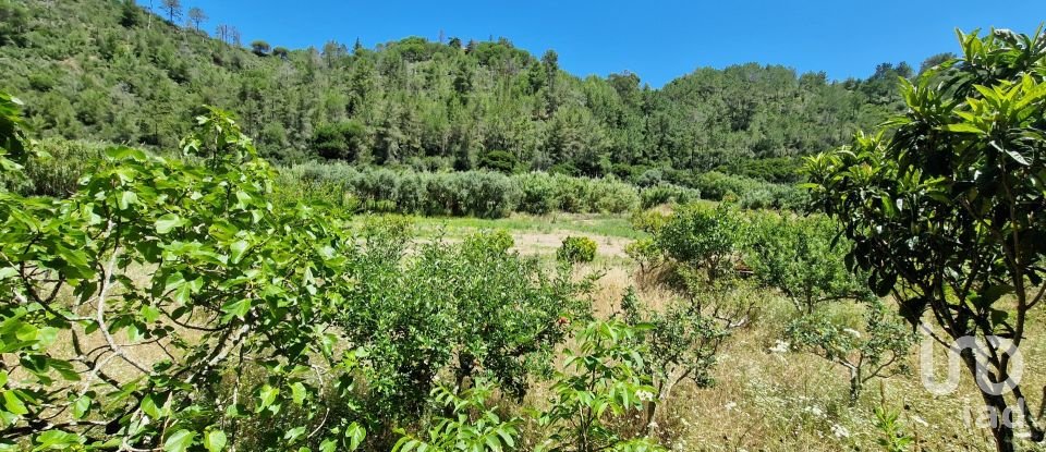 Terreno em Carvoeira de 2 500 m²