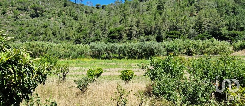 Land in Carvoeira of 2,500 m²