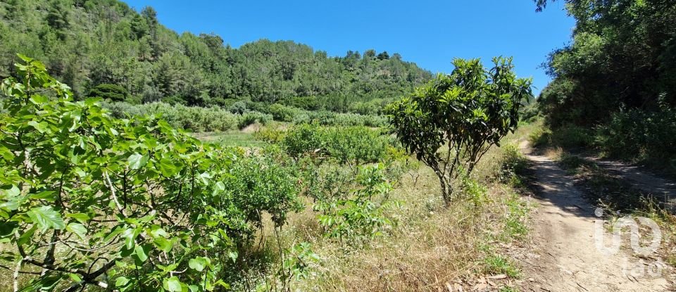 Terrain à Carvoeira de 2 500 m²