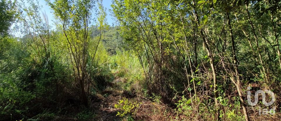 Terreno em Carvoeira de 2 500 m²