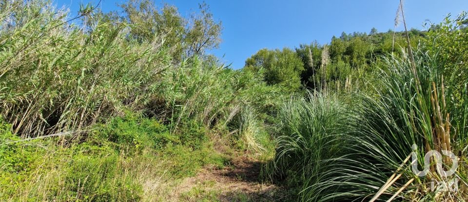 Terreno em Carvoeira de 2 500 m²