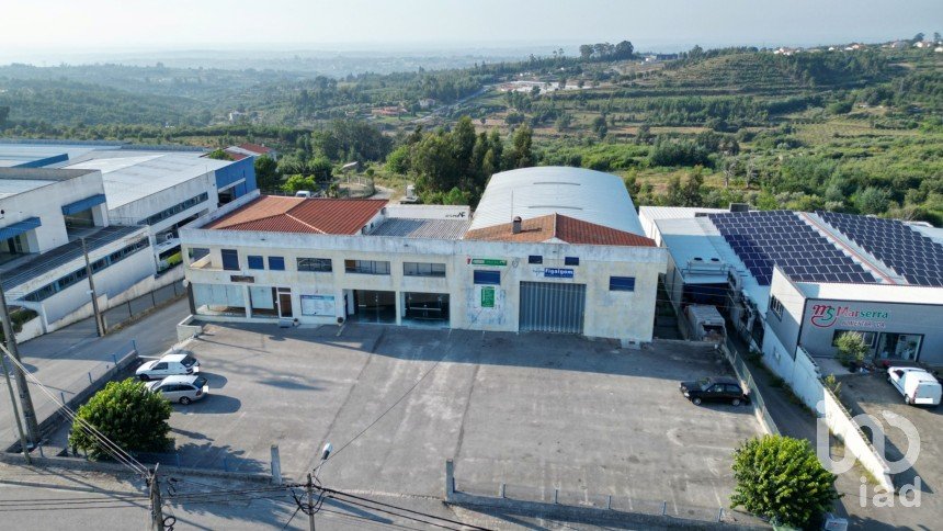 Commercial walls in Oliveira do Hospital e São Paio de Gramaços of 1,802 m²