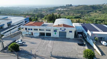 Commercial walls in Oliveira do Hospital e São Paio de Gramaços of 1,802 m²