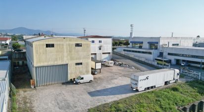 Commercial walls in Oliveira do Hospital e São Paio de Gramaços of 1,802 m²