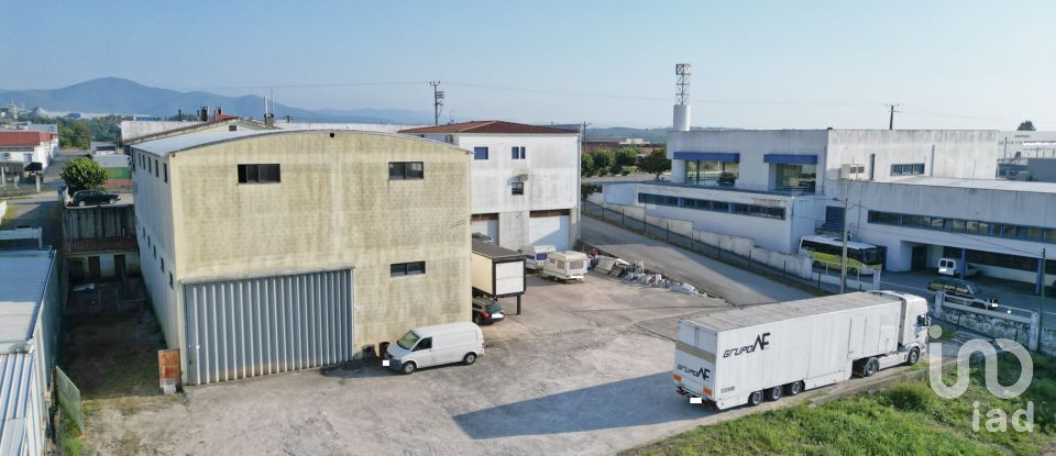 Commercial walls in Oliveira do Hospital e São Paio de Gramaços of 1,802 m²