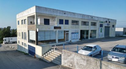 Murs commerciaux à Oliveira do Hospital e São Paio de Gramaços de 1 802 m²