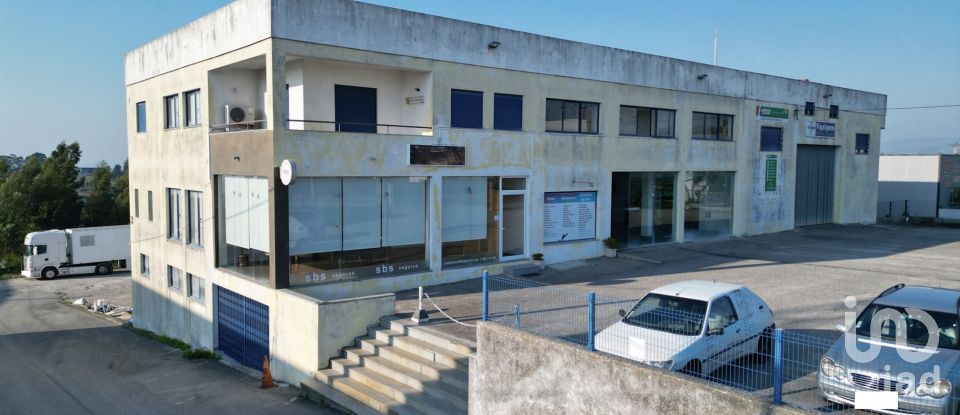 Murs commerciaux à Oliveira do Hospital e São Paio de Gramaços de 1 802 m²