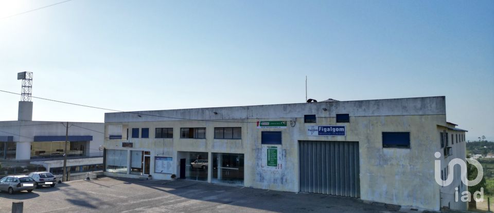 Commercial walls in Oliveira do Hospital e São Paio de Gramaços of 1,802 m²