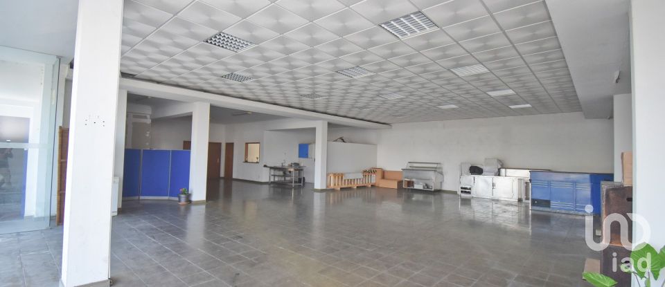 Commercial walls in Oliveira do Hospital e São Paio de Gramaços of 1,802 m²