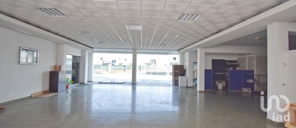 Murs commerciaux à Oliveira do Hospital e São Paio de Gramaços de 1 802 m²