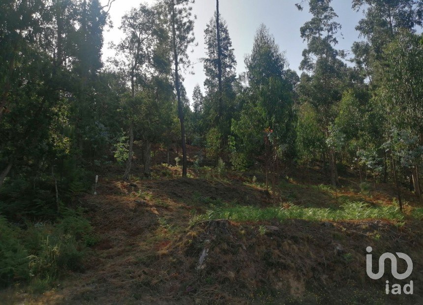 Terreno em Fontoura de 4 850 m²