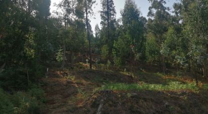 Terreno em Fontoura de 4 850 m²