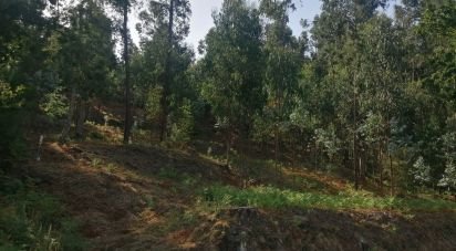 Terreno em Fontoura de 4 850 m²