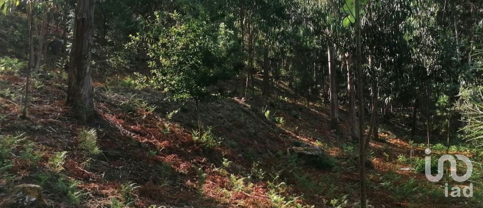 Terrain à Fontoura de 4 850 m²