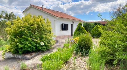 House T2 in Pelariga of 980 m²